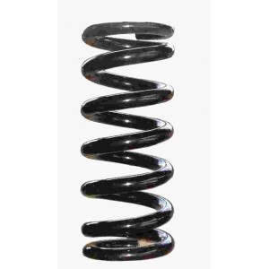 RESORTE 20MM*310L